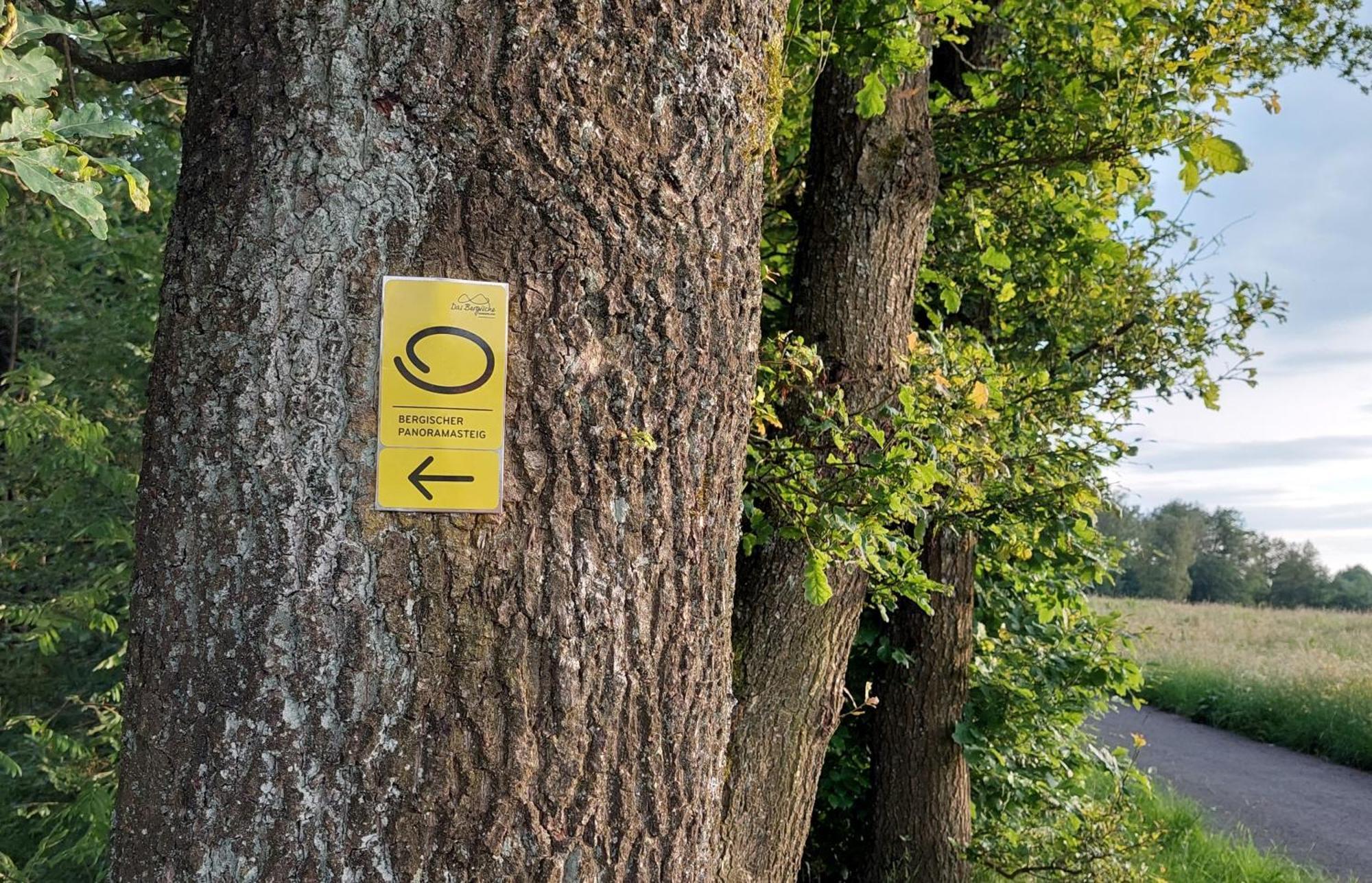 Ferienwohnung Waldbroel - Nahe Naturerlebnispark Waldbrol Εξωτερικό φωτογραφία